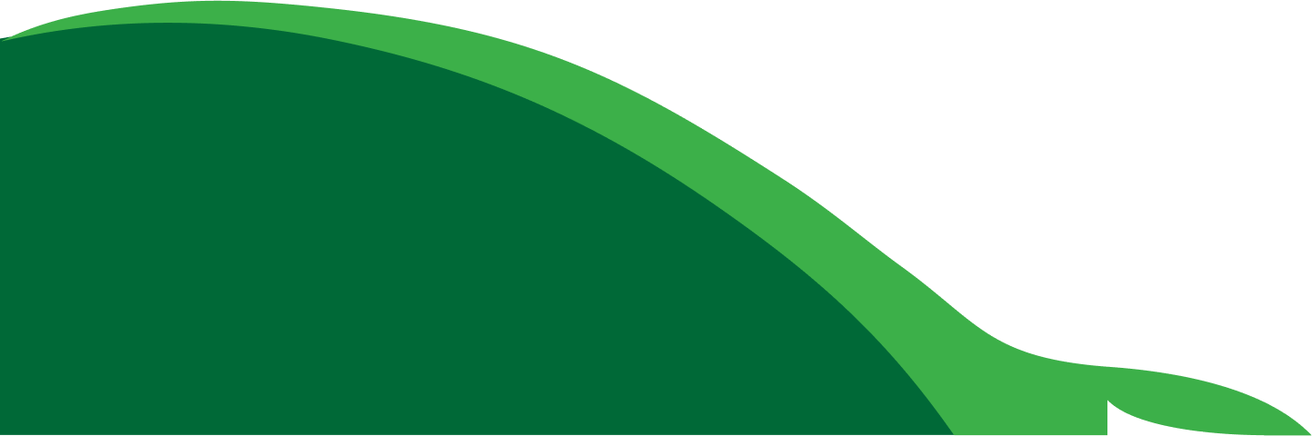 Development Image